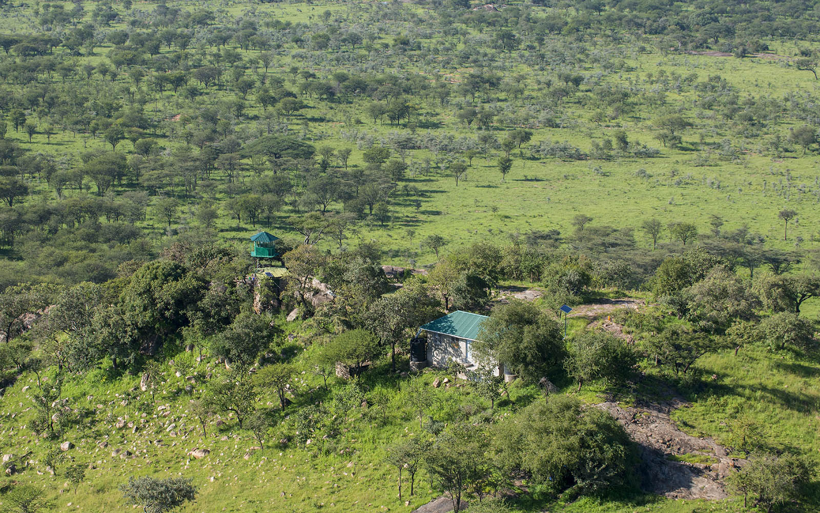 A Moru rhino ranger tower for observing rhinos and keeping an eye out for poachers. Moru, Serengeti, Tanzania. © Daniel Rosengren