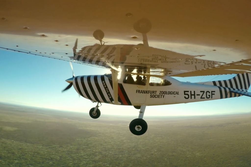 ZGF Aircraft above Serengeti