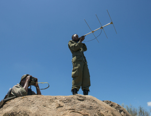 Protecting Serengeti