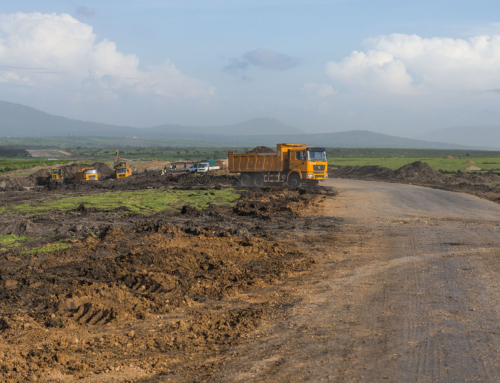 Road cutting through Serengeti